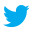 Condividi su Twitter